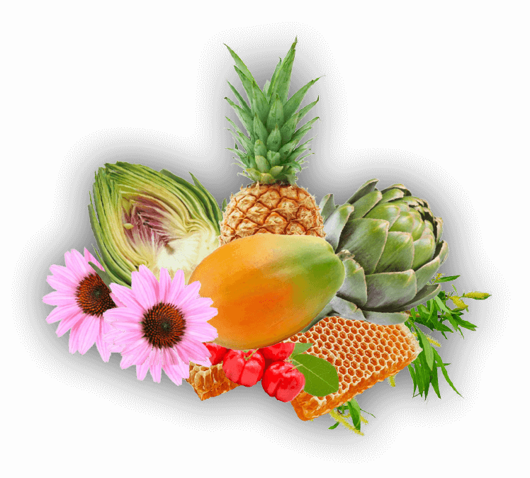 focus-phyto focus-phyto