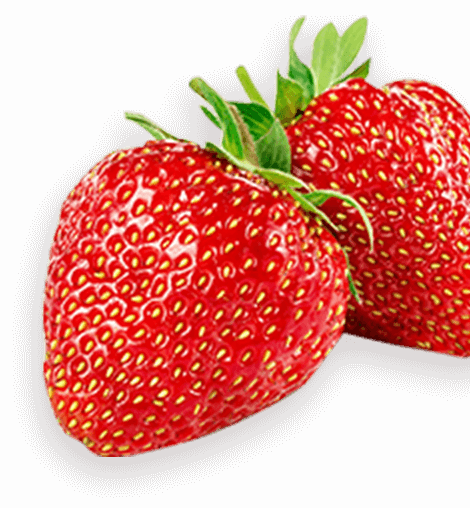 fraise@2x fraise@2x